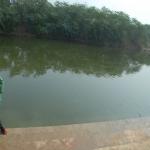 Vraj-Yatra-2014- (719)